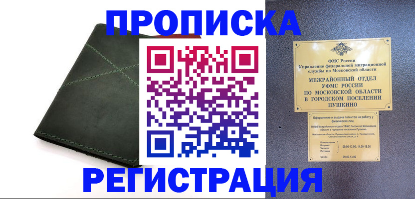 прописка в квартире в Малой Вишере